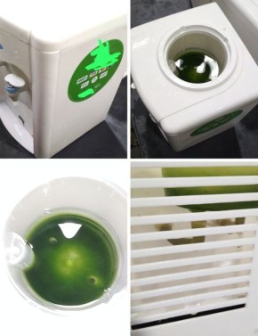 ������ ����� ���������� ����� ���, ��� ������ ������ ���� �� ������