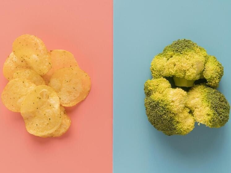 ������� �����: �������� ������������ ��������� ���������