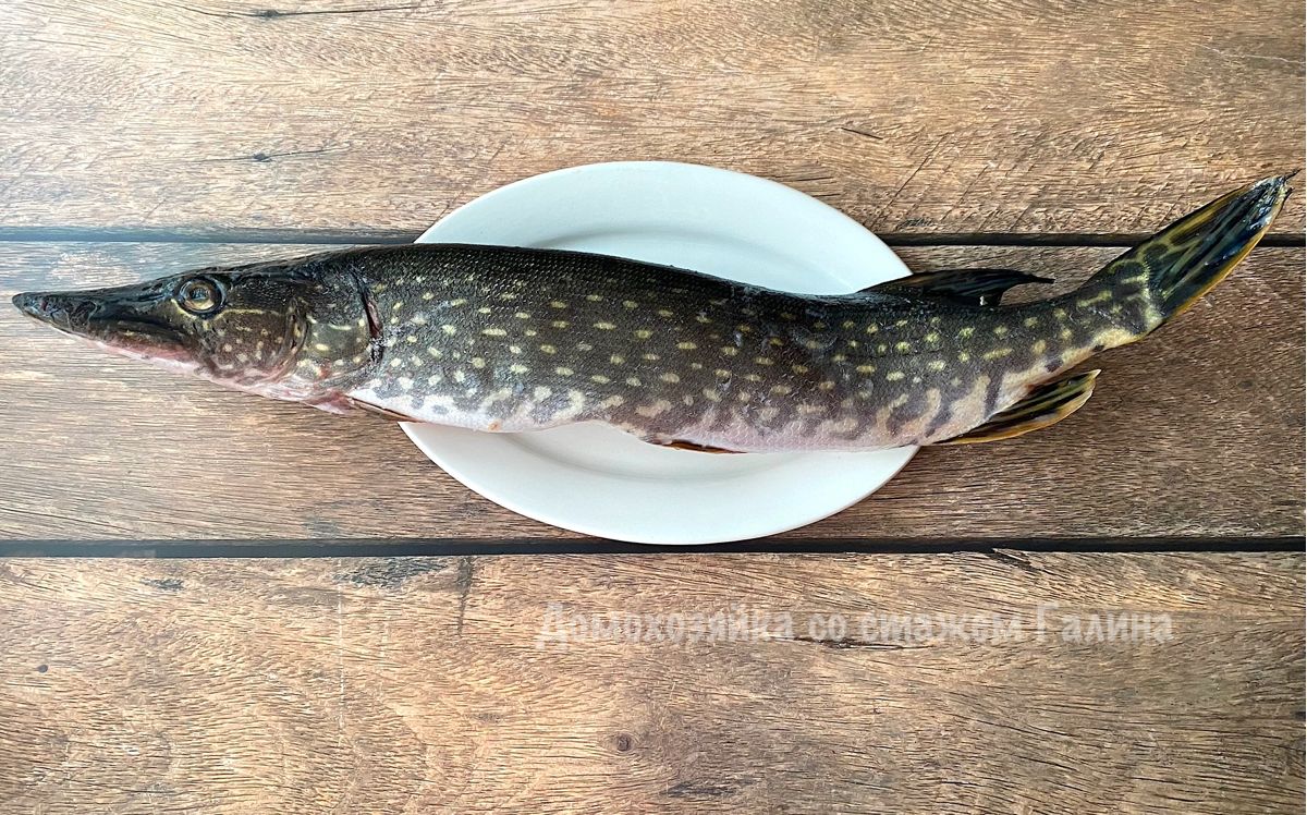 ������� ������������� ������ �� ����: ��� �������� ��������� �������� ��� ����