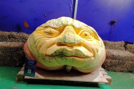 � ����������� ������� ����� ���������� ���������� �������������� ���������