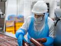 В России планируют ввести обязательную маркировку мяса и колбас